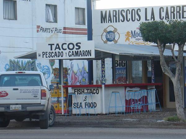 the other taco stand