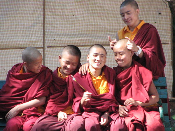 Monk-eying Around, Part II