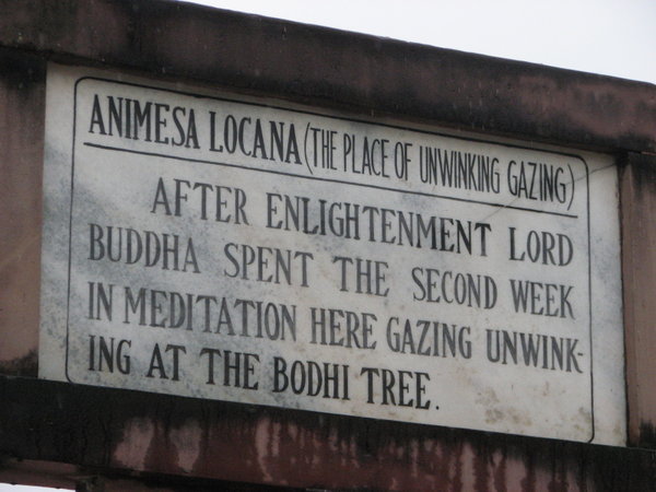 A reminder of why you're in Bodh Gaya