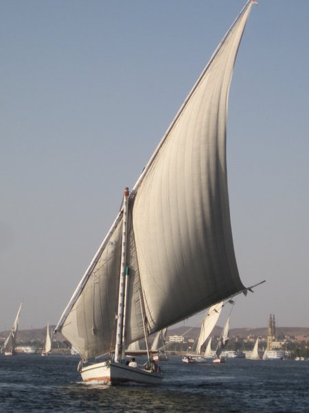 On the Nile, Felucca-Style