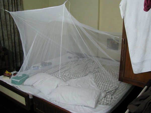 our mosquito fort triv
