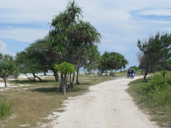 Track around the Island