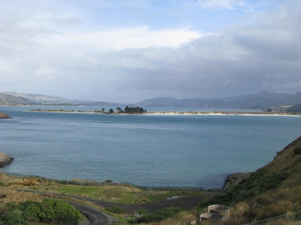 Otago peninsula 5