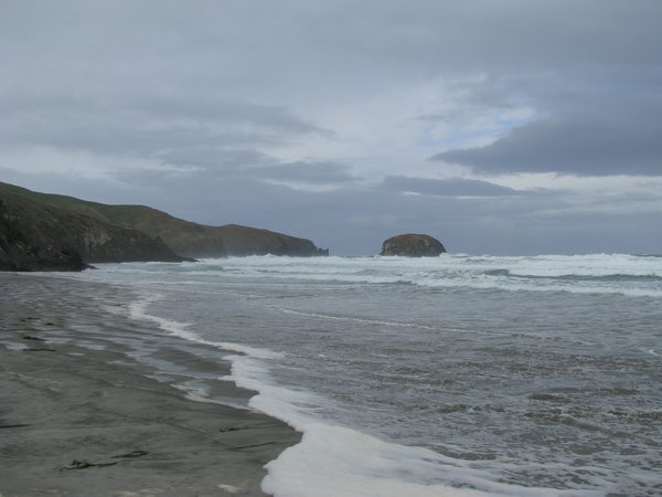 Otago peninsula 10