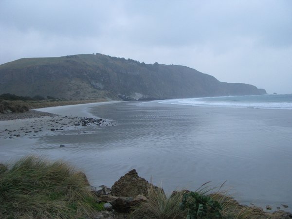 Otago peninsula 15