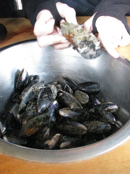 Mussels!