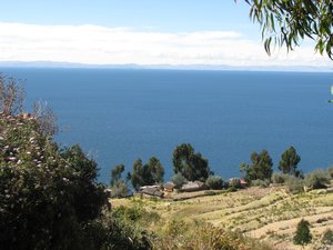 Lake Titicaca 12