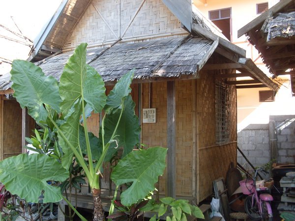 my hut