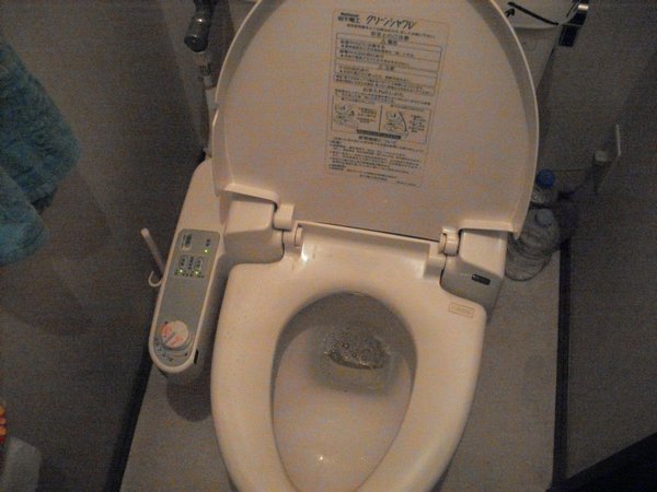 heated toilet seat