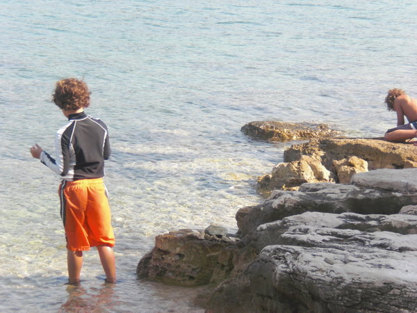 Boys explore the sea
