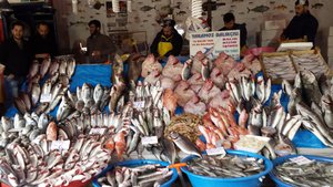 Galata fish market