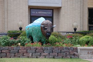 Buffalo Outside City Building