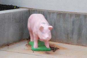 Cadiz Pig--Downtown