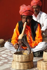 Snake charmer in Jaipur