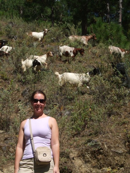 Me and the goats 