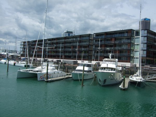 Viaduct Harbor in Auckland
