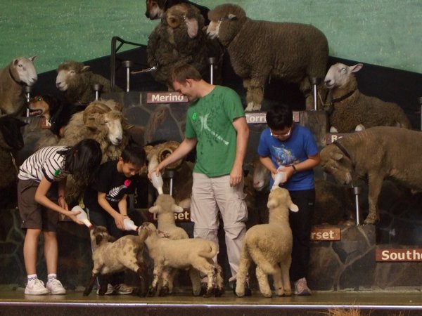 Pete feeding the lamb