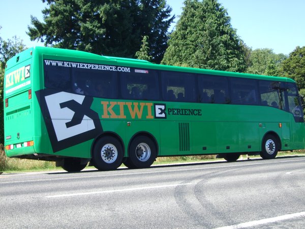 Our Kiwi Bus