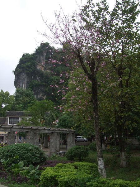 park in Yangshuo