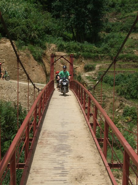 bridge along trail 