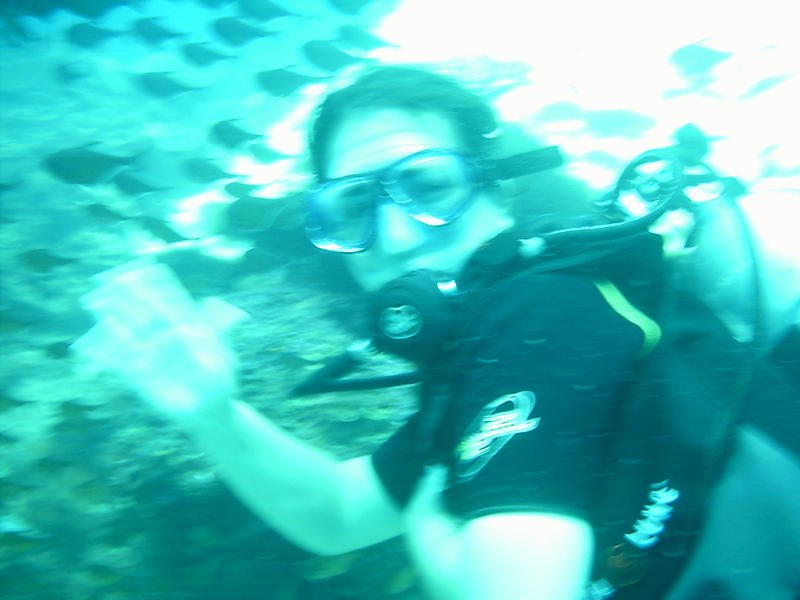 Elyse underwater