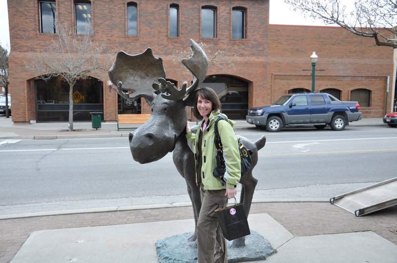 Moose downtown Coeur d'Alene