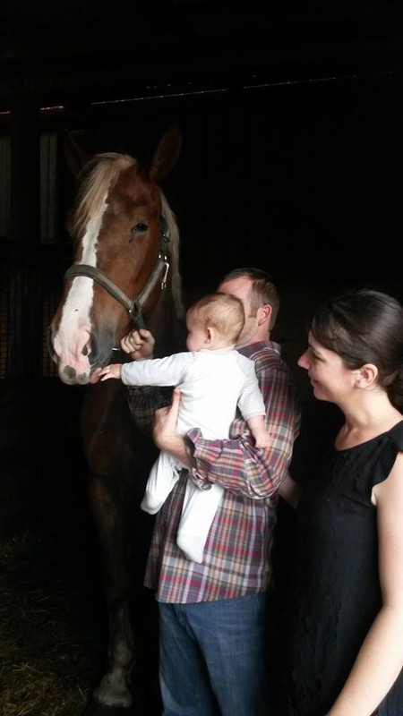 Bennett met the horses