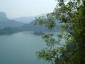 Lake Bled Me Dry