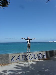 Welcome to Kaikoura