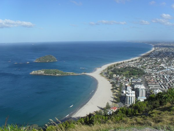 View of Tauranga