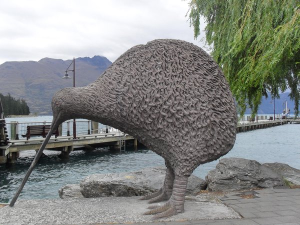A giant kiwi