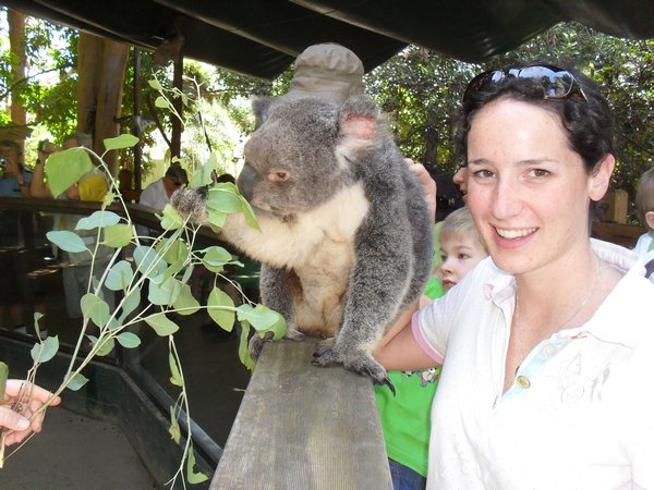 Bowks with Mr Koala