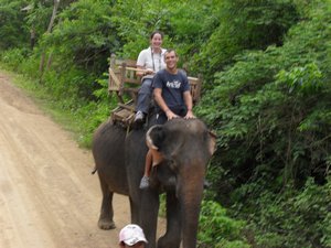 Doddy the Mahout