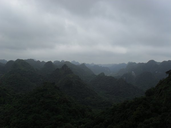 The view from the top of the hike in Cat Ba National Park