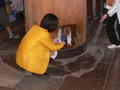 Baby Stuck in Todai-ji Temple Pillar!