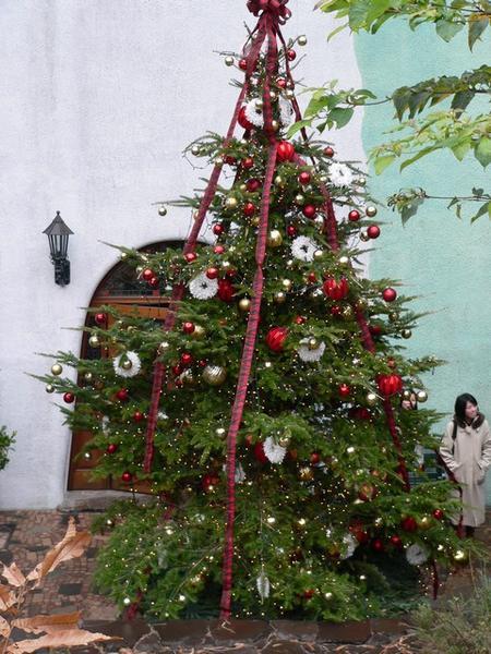 Tartan Christmas Tree at Ghibli Museum, Mitaka
