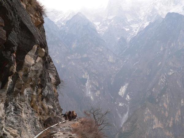 Narrow Paths, Wide Loads and Long Drops - Tiger Leaping Gorge