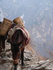 Traffic - Tiger Leaping Gorge
