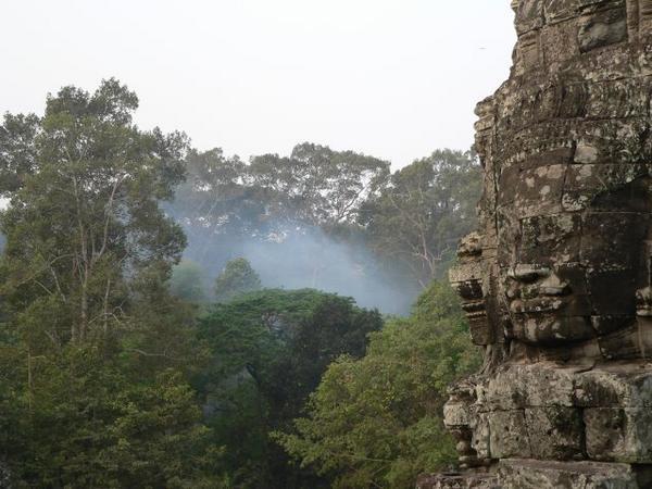Misty Morning in the Jungle at Bayon