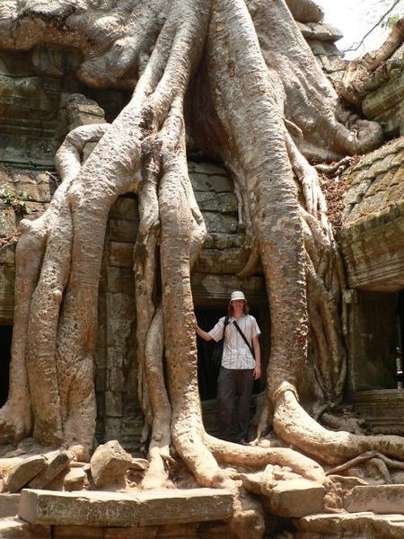 The Root of the Problem - Ta Prohm