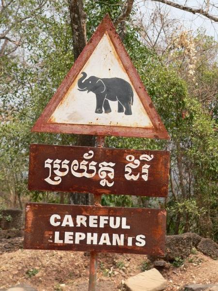 Careful Elephants??