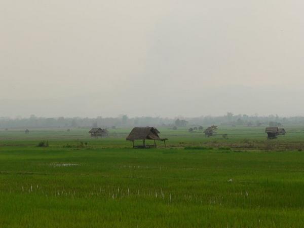 Rice Hut, near Luang Nam Tha