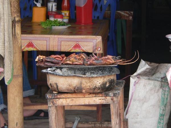 Barbecued Rat, Udomaxi Bus Station