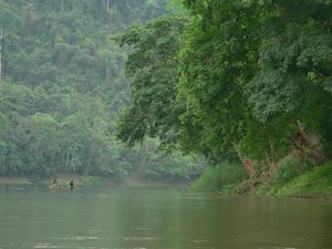 Giant Green, River Nam Ou