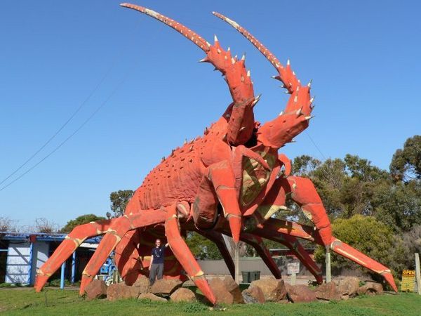 Big Lobster, Kingston, SA