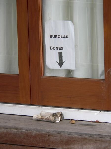 Home security New Zealand style.