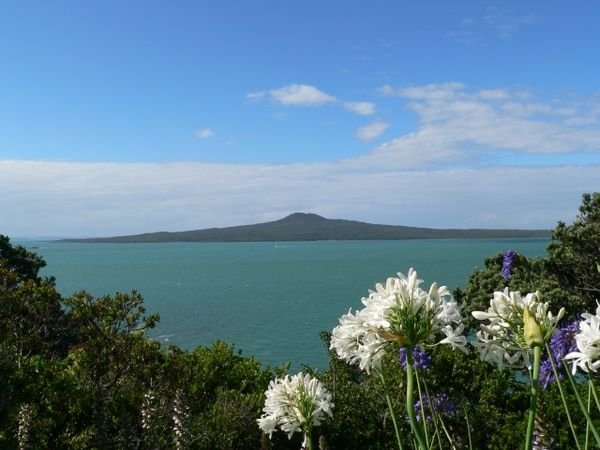 Rangitoto from Glover Park, St. Heliers