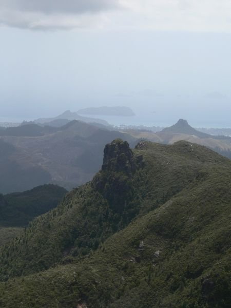 A Pinnacle, Kauaeranga Valley 