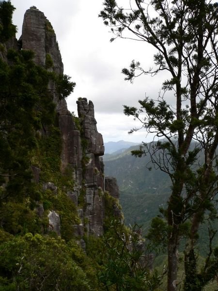 Pinnacles, Kauaeranga Valley 