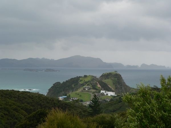 An Island in the Bay of Islands